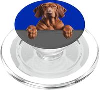 Redbone Coonhound Lindo Peeking Dog Lover PopSockets PopGrip para MagSafe