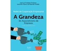 Redes De Cooperação Empresarial (ebook)