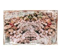 Redesign with Prima REDESGN Beau, papel de seda decorativo Beatiful Dream 19 x 30 pulgadas