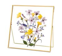 REDHUGO Marco de vidrio doble para flores prensadas hechas a mano, marco de fotos de mesa para imagen flotante e impresión floral, simple, metal geométrico, cuadrado, dorado, 25 x 25 cm