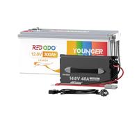 Redodo Batería LiFePO4 12V 300Ah con Cargador 12V 40A BMS 200A Integrado Gran Capacidad 3840Wh Recarga Rápida en 7,5 Horas Sistemas Solares Domésticos Autónomos y Autocaravanas