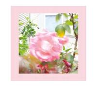 Reds. Pinks And Purples - Reds. Pinks And Purples: Summer At Lands End [CD]