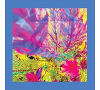 Reds, Pinks and Purples, the - The Past Is a Garden I Never Fed (Sky Blue Vinyl) [Vinilo]