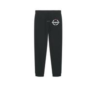 REDSKINS JUNIOR Pantalones Joggings Bermudas y Chinos para Niños Niño y Niña Pants, Negro, 16 años Unisex Kids