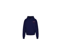 REDSKINS Junior Sweat Shirt Sweater Pulls et Gilets Enfant Garçon Fille, Sudadera con Capucha Unisex Niños, Bleu Foncé,