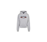 REDSKINS Junior Sweat Shirt Sweater Pulls et Gilets Enfant Garçon Fille, Sudadera con Capucha Unisex Niños, Gris,