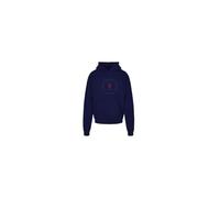 REDSKINS Junior Sweat Shirt Sweater Pulls et Gilets Enfant Garçon Fille, Sudadera con Capucha Unisex Niños, Bleu Foncé,