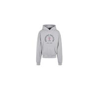 REDSKINS Junior Sweat Shirt Sweater Pulls et Gilets Enfant Garçon Fille, Sudadera con Capucha Unisex Niños, Gris,