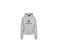 Redskins Junior Sweat Shirt Sweater Pulls et Gilets Enfant Garçon Fille, Sudadera con Capucha Unisex Niños, Gris,