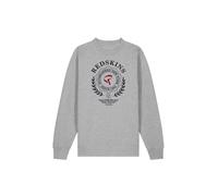 REDSKINS, Set de 2 Piezzas, Sudadera Y Pantalon, SweatShirt + Pant, Casual, Deportivos, Lote de 2, Ropa Niños, Unisex, Niño, Niña, Modelo SETRS1 GREY 16 Años