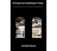 Redução Da Maioridade Penal (ebook)