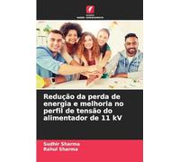 Redução da perda de energia e melhoria no perfil de tensão do alimentador de 11 kV