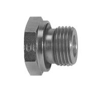 Reducción de cambio corta, sellado suave, G 1 1/2 a, G 1 i, PN máx. 315 bar, SW1 55, acero galvanizado.