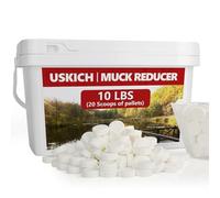 Reductor de lodo natural para estanques y lagos, 10 libras (20 cucharadas), tabletas para estanques y lagos, control de olores de fuente, seguro para peces, vida acuática, vida silvestre, mascotas