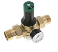 Reductor De Presión De Filtro Latón R1 1/4'' 99 L/Min 1.5-6 Bar/22-87Psi Agua Potable