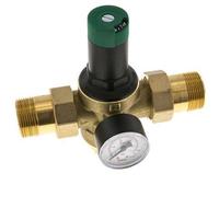 Reductor De Presión De Filtro Latón R1 1/4'' 99 L/Min 1.5-6 Bar/22-87Psi Agua Potable