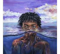 Redveil Learn 2 Swim (Vinyl) 12" Album (Importación USA)