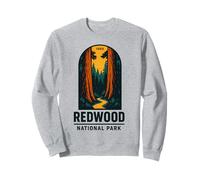 Redwood National Park 1968 Sudadera