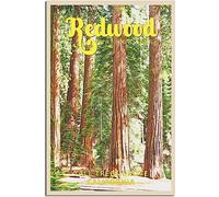 Redwood National Park Arte Imprimir Vintage Viaje Póster Retro Pared Arte Lienzo Póster Habitación Decoración Hogar Decoración Sin Marco 30x45cm