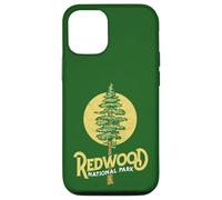 Redwood National Park Retro Vibe Distressed Tree Graphic Carcasa para iPhone 12/12 Pro