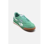 Reebok Campio XT M 43 Verde