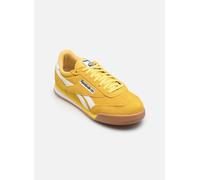 Reebok CAMPIO XT, Zapatillas Unisex Adulto, GOLDENHAZE/Black/Gum, 37.5 EU