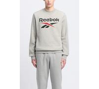 Reebok Identity Big Logo Medium Grey Heather/vector Red Talla: M | Sudaderas con Capucha Outlet | Hombre | Gris