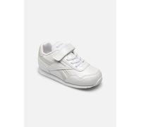 Reebok Reebok Royal Cl Jog 24 Blanco