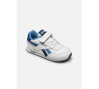 Reebok Reebok Royal Cl Jog 3.0 1V 20 Blanco