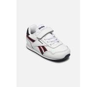 Reebok Reebok Royal Cl Jog 3.0 1V 22 Blanco