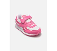 Reebok Reebok Royal Cl Jog 3.0 1V I 24 Rosa