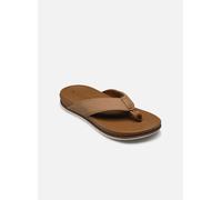 Sandalias Reef para hombre ~ Cushion Bonzer tan