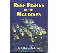 Reef fishes of the Maldives