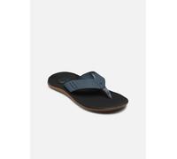 Reef Reef Santa Ana 42 Azul