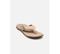 Reef Reef Santa Ana 46 Beige
