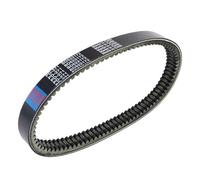 Reemplazo de correa de transmisión for AI-XAM GTO 2010-2013 City 2010-2020 Coupé 2010-2020 Crossline/Crossover 2010-2020