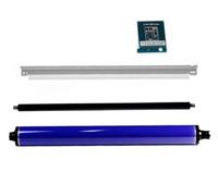 Reemplazo de rolleros de Carga de Tambor de Tambor de Tambor Compatible para DC 240 242 250 252 260 WC 7655 7665 7675 Modelos OEM 013R00603