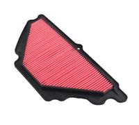Reemplazo del elemento limpiador de admisión del filtro de aire de motocicleta compatible con Kawasaki Ninja ZX-6R, ZX6R, ZX600P y ZX636.