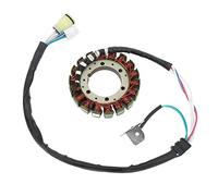 Reemplazo del Estator del Generador para Grizzly 660 YFM660FA 4x4 20022008, Material de Cobre de Primera Calidad, Fabricación Profesional, Maximiza el Flujo Electromagnético,