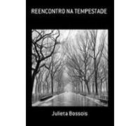 Reencontro Na Tempestade (ebook)