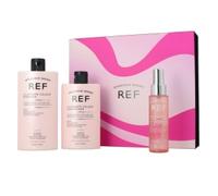 Ref Illuminate Color Case 3 Pcs