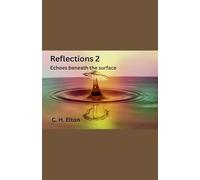 Reflections 2 - echoes beneath the surface