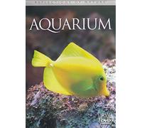 Reflections of Nature -- Aquarium