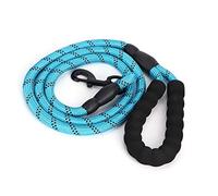 Reflective Dog Leash for Pulling | Nylon Training Rope with D - Ring | Strong Leash for Medium Large Dogs Running/Walking/Hiking | 200g Lightweight Pet Security Lead (Blue)