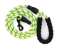 Reflective Dog Leash for Pulling | Nylon Training Rope with D - Ring | Strong Leash for Medium Large Dogs Running/Walking/Hiking | 200g Lightweight Pet Security Lead (Green)