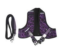 Reflective Pet Harness and Leash Set | Polyester Chest Strap for Dogs/Cats | Purple Visibility Traction Rope with Quick Buckle | XS S M L Sizes (XS)