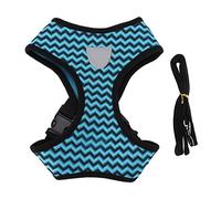 Reflective Pet Harness & Leash Set | Adjustable Soft Mesh Vest for Small Dogs/Cats/Medium Breeds | Escape - Proof Design with Easy Grip Handle & D - Ring | Enhanced Night (l)