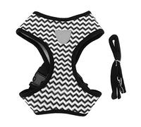 Reflective Pet Harness & Leash Set | Adjustable Soft Mesh Vest for Small Dogs/Cats/Medium Breeds | Escape - Proof Design with Easy Grip Handle & D - Ring | Enhanced Night (l)