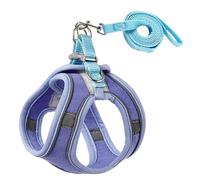 Reflective Pet Harness - Soft Dog Vest for Training | Mesh Material with Adjustable Fit, Padded Comfort Design, Gentle Neck Support, Stylish Outdoor Walking Gear