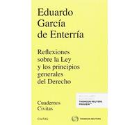 Reflexiones sobre la Ley y los principios generales del Derecho (Cuadernos)